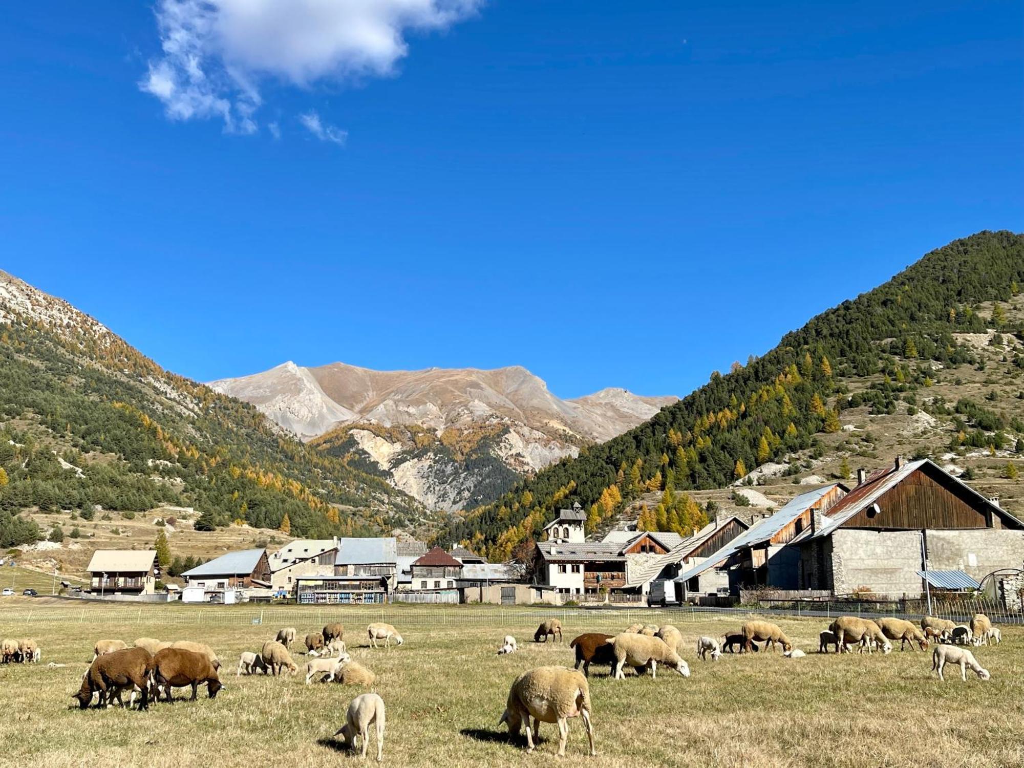 Gite Montagne 1 A 25 Places "Chalet Coste Belle" Ceillac Zewnętrze zdjęcie